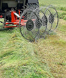 FINGER RAKES MOUNTED